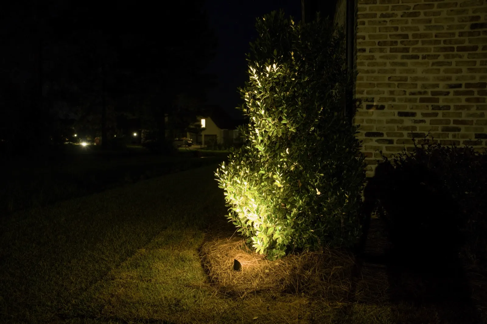 Landscape uplighting on a shrub bed at a Fairhope, Alabama home at night
