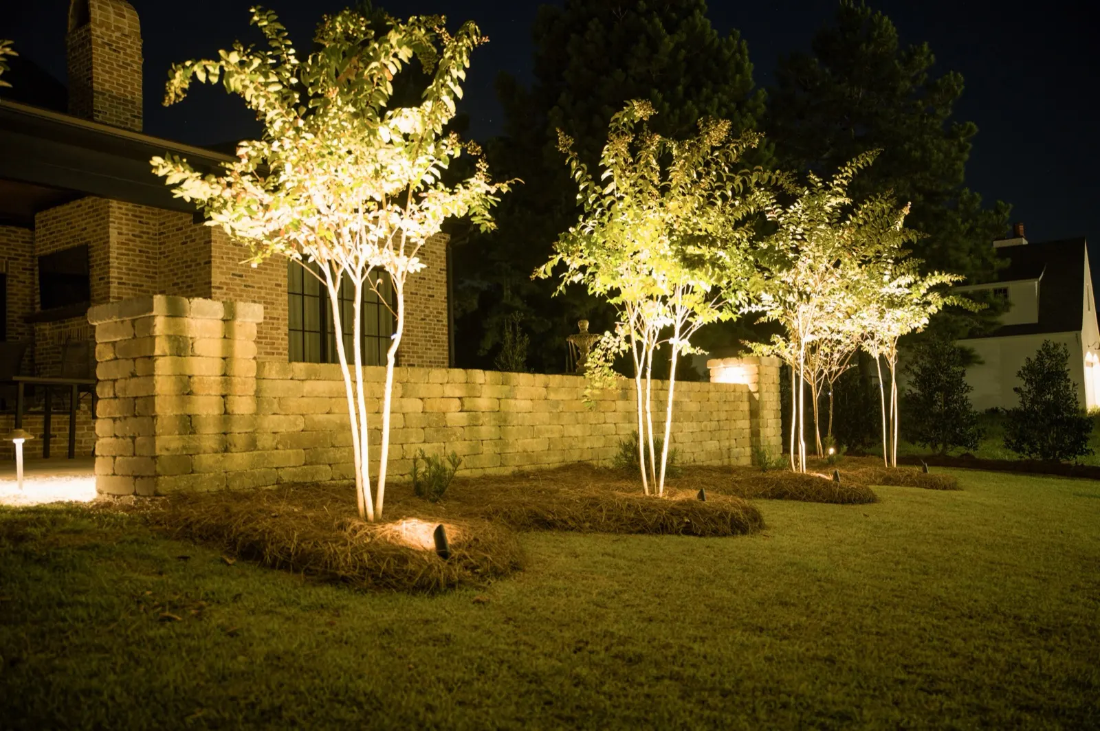 Landscape uplighting on a wall and row of trees at a Fairhope, Alabama home at night